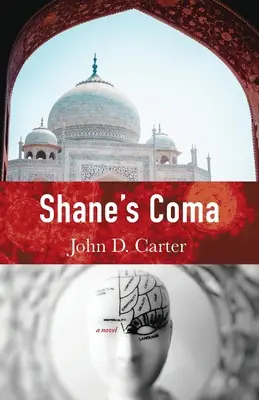Il coma di Shane - Shane's Coma