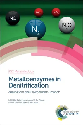 Metalloenzimi nella denitrificazione: Applicazioni e impatti ambientali - Metalloenzymes in Denitrification: Applications and Environmental Impacts