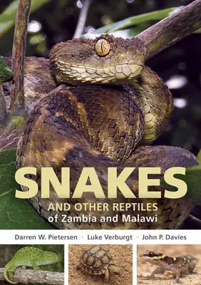 Guida ai serpenti e agli altri rettili dello Zambia e del Malawi - Field Guide to Snakes and Other Reptiles of Zambia and Malawi