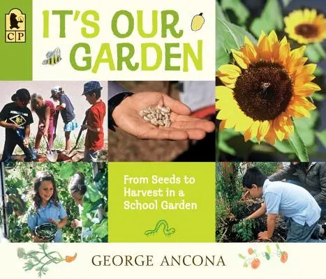 È il nostro giardino: Dai semi al raccolto in un orto scolastico - It's Our Garden: From Seeds to Harvest in a School Garden