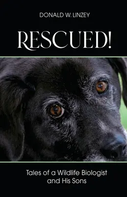 Salvati! I racconti di un biologo della fauna selvatica e dei suoi figli - Rescued!: Tales of a Wildlife Biologist and His Sons