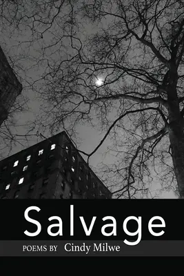 Recupero - Salvage