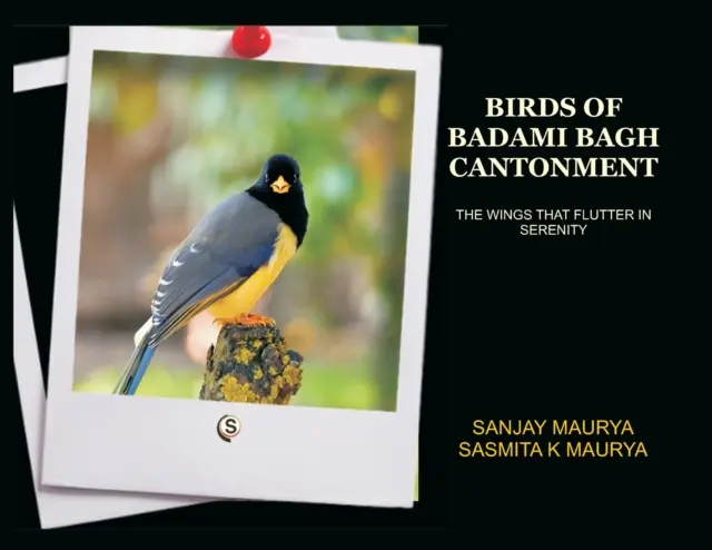 Uccelli del cantone di Badami Bagh - Birds of Badami Bagh Cantonment
