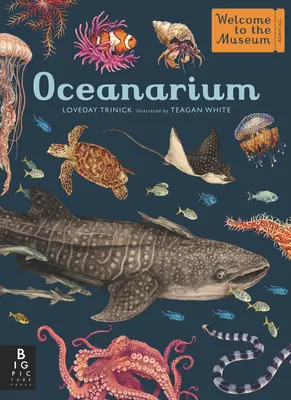 Oceanarium: Benvenuti al museo - Oceanarium: Welcome to the Museum