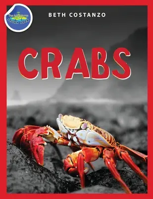 Quaderno di attività sul granchio per bambini dai 4 agli 8 anni - Crab Activity Workbook for Kids ages 4-8