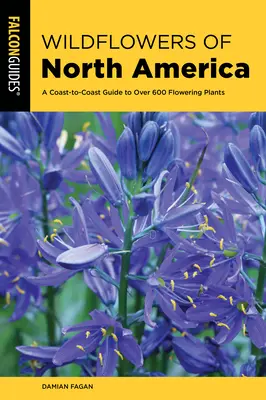 Fiori selvatici del Nord America: Una guida da costa a costa a più di 500 piante da fiore - Wildflowers of North America: A Coast-To-Coast Guide to More Than 500 Flowering Plants