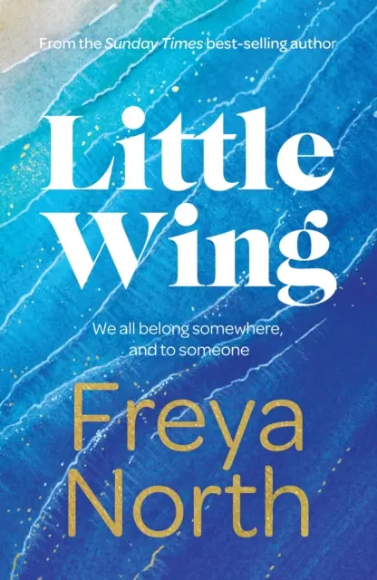 La piccola ala - Little Wing