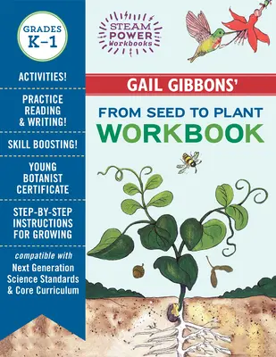 Libro di lavoro 