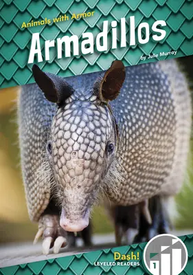 Armadilli - Armadillos
