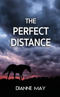 La distanza perfetta - The Perfect Distance