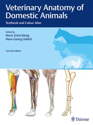 Anatomia veterinaria degli animali domestici: Libro di testo e atlante a colori - Veterinary Anatomy of Domestic Animals: Textbook and Colour Atlas