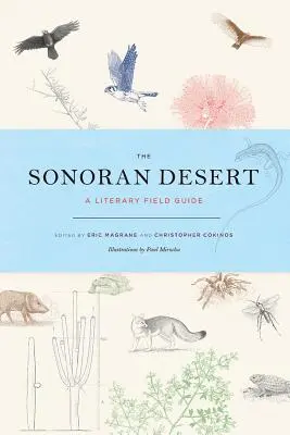 Il deserto di Sonoran: Una guida letteraria sul campo - The Sonoran Desert: A Literary Field Guide