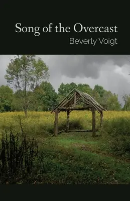 Canzone del cielo coperto - Song of the Overcast
