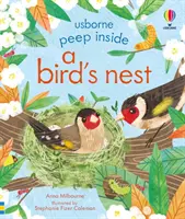 Sbirciare dentro un nido di uccelli - Peep Inside a Bird's Nest