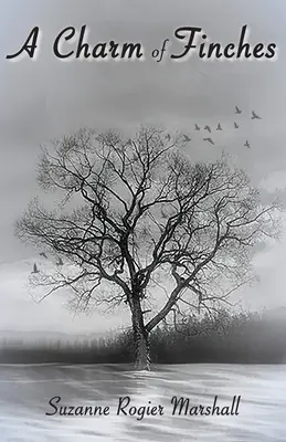 Un incanto di fringuelli - A Charm of Finches