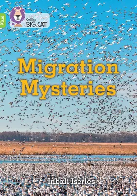 Misteri della migrazione - Fascia 11+/Lime Plus - Migration Mysteries - Band 11+/Lime Plus