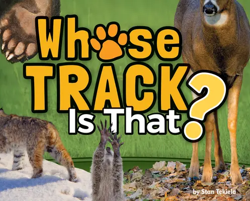 Di chi è quella traccia? - Whose Track Is That?