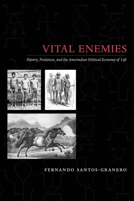 Nemici vitali: schiavitù, predazione ed economia politica della vita amerindia - Vital Enemies: Slavery, Predation, and the Amerindian Political Economy of Life