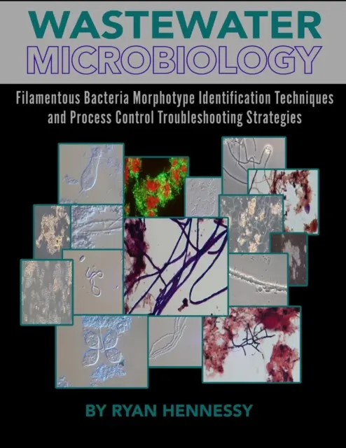 Microbiologia delle acque reflue, tecniche di identificazione del morfotipo dei batteri filamentosi e strategie di risoluzione dei problemi di controllo dei processi - Wastewater Microbiology, Filamentous Bacteria Morphotype Identification Techniques, and Process Control Troubleshooting Strategies