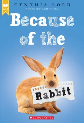 A causa del coniglio - Because of the Rabbit