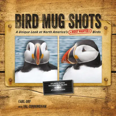 Foto di uccelli: Uno sguardo unico sugli uccelli più ricercati del Nord America - Bird Mug Shots: A Unique Look at North America's Most Wanted Birds