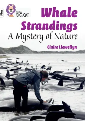 Gli arenamenti delle balene: Un mistero della natura - Banda 10+/Bianco Plus - Whale Strandings: A Mystery of Nature - Band 10+/White Plus