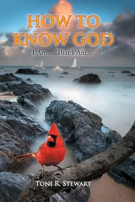 Come conoscere Dio: Io sono... Che io sono... - How to Know God: I Am... That I Am...