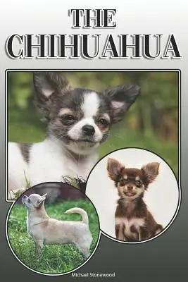 Il Chihuahua: Una guida completa ed esauriente per i proprietari a: Comprare, possedere, salute, toelettatura, addestramento, obbedienza, comprensione e - The Chihuahua: A Complete and Comprehensive Owners Guide To: Buying, Owning, Health, Grooming, Training, Obedience, Understanding and