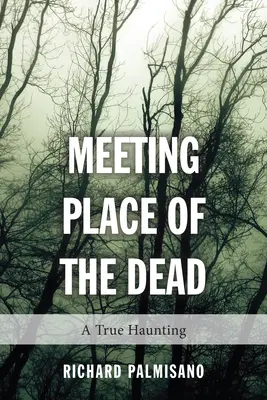 Il luogo d'incontro dei morti: una vera e propria infestazione - Meeting Place of the Dead: A True Haunting