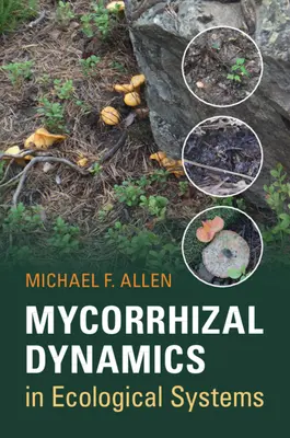 Dinamiche micorriziche nei sistemi ecologici - Mycorrhizal Dynamics in Ecological Systems