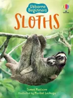 Bradipi - Sloths