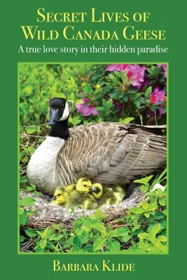 Vite segrete delle oche selvatiche del Canada: Una vera storia d'amore nel loro paradiso nascosto - Secret Lives of Wild Canada Geese: A true love story in their hidden paradise
