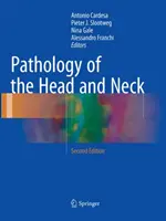 Patologia della testa e del collo - Pathology of the Head and Neck