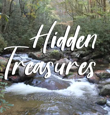 Tesori nascosti: Una guida illustrata per trovare felicità e guarigione nella natura - Hidden Treasures: An Illustrated Guide to Finding Happiness & Healing in Nature