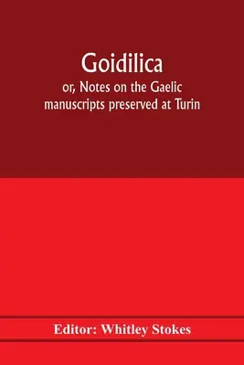 Goidilica; ovvero, note sui manoscritti gaelici conservati a Torino, Milano, Berna, Leida, nel monastero di S. Paolo, in Carinzia, e a Cambridge, con otto - Goidilica; or, Notes on the Gaelic manuscripts preserved at Turin, Milan, Berne, Leyden, the monastery of S. Paul, Carinthia, and Cambridge, with eigh