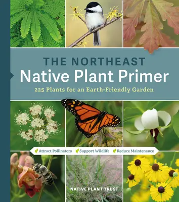 Il Primer delle piante autoctone del Nord-Est: 235 piante per un giardino rispettoso della Terra - The Northeast Native Plant Primer: 235 Plants for an Earth-Friendly Garden