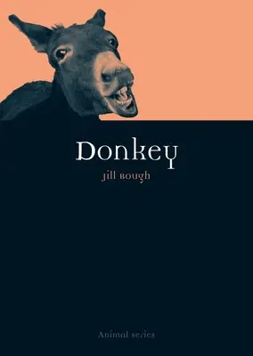 L'asino - Donkey