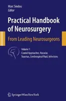 Manuale pratico di neurochirurgia: Dai principali neurochirurghi - Practical Handbook of Neurosurgery: From Leading Neurosurgeons