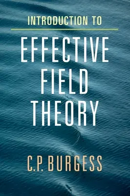 Introduzione alla teoria del campo efficace - Introduction to Effective Field Theory