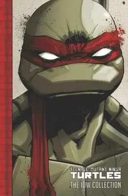 Teenage Mutant Ninja Turtles: La collezione IDW Volume 1 - Teenage Mutant Ninja Turtles: The IDW Collection Volume 1