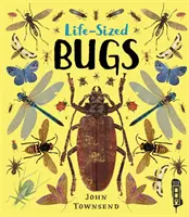 Insetti a grandezza naturale - Life-Sized Bugs