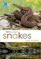 Serpenti in primo piano Rspb - Rspb Spotlight Snakes