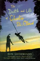 Morte e vita di Charlie St. Cloud - Death and Life of Charlie St. Cloud