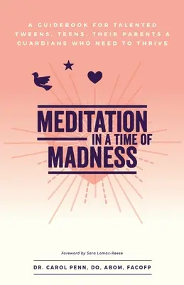 Meditazione in un tempo di follia: Una guida per ragazzi di talento, adolescenti, genitori e tutori che hanno bisogno di prosperare - Meditation in a Time of Madness: A Guidebook for Talented Tweens, Teens, Their Parents & Guardians Who Need to Thrive