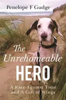 L'eroe senza casa, una corsa contro il tempo e un dono d'ali - Unrehomeable Hero, A Race Against Time & A Gift of Wings