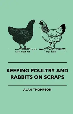 Allevare pollame e conigli con gli scarti - Keeping Poultry and Rabbits on Scraps