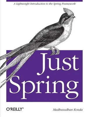 Solo Spring: Una leggera introduzione al framework Spring - Just Spring: A Lightweight Introduction to the Spring Framework