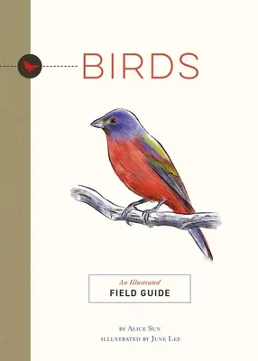 Uccelli: Una guida da campo illustrata - Birds: An Illustrated Field Guide