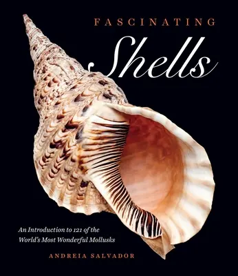 Conchiglie affascinanti: Un'introduzione a 121 dei più meravigliosi molluschi del mondo - Fascinating Shells: An Introduction to 121 of the World's Most Wonderful Mollusks