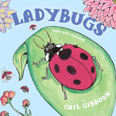 Coccinelle (Nuovo e aggiornato) - Ladybugs (New and Updated)
